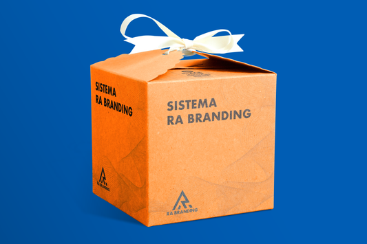 Sistema completo RA